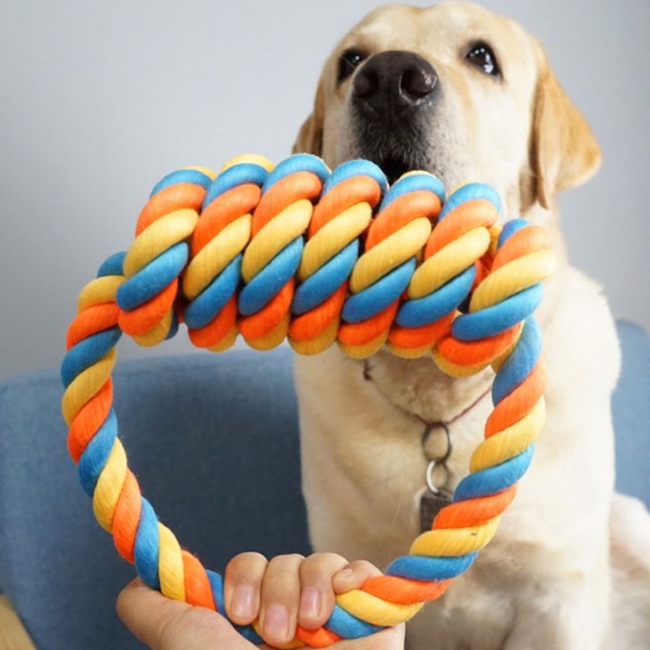 ของเล่นเชือกสุนัขสี-flossy-ลากจูงเคี้ยวของเล่นพรีเมี่ยมเชือกฝ้ายสุนัขของเล่นแบบโต้ตอบหลายนอตกัดทน2สี