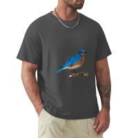 Bluebird- Great Bluebird Apparel Or Accessories For The Bluebird Lovers T-Shirt Quick Drying Shirt Black T-Shirts For Men