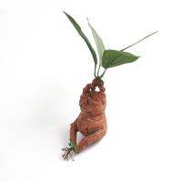 Mandrake เครื่องประดับสวน HP ต้นไม้ที่น่าเกลียดพืชเทียมเรซินอาร์ทสำหรับโต๊ะแต่งบ้านตกแต่งระเบียงในสำนักงาน