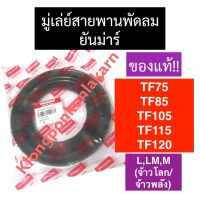 มู่เล่ย์สายพานพัดลม ยันม่าร์ TF75 TF85 TF105 TF115 TF120 LM,L,M (จ้าวโลก/จ้าวพลัง) กว้าง 7” มู่เล่ย์สายพานพัดลมยันม่าร์ มู่เล่ย์สายพานพัดลมTF มู่เล่TF