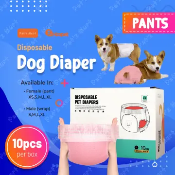 Dog pull best sale up diapers