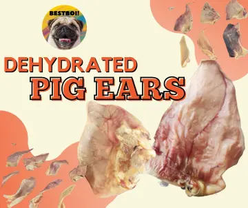 Homemade pig best sale ears for dogs