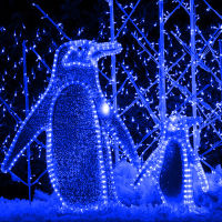 Christmas Party LED String Fairy Lights Blue Color Waterproof 220-240V Wedding Decoration Light