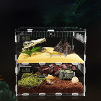 อะคริลิสัตว์เลื้อยคลาน Terrarium Enclosure,สัตว์เลื้อยคลานแมลงพันธุ์กล่องสำหรับสัตว์เลื้อยคลานขนาดเล็ก,ผกผัน,ตั๊กแตนตำข้าว,แมงมุม,คริกเก็ต,ทารันทูล่า