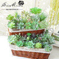 อุปกรณ์ DIY สำหรับติดผนังและสีเขียว1ชุดอุปกรณ์ตกแต่งดอกไม้ต้นไม้เทียม Plantshuilinshen