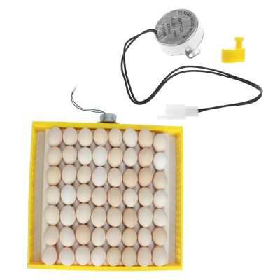 220V AC Egg Automatic Incubator For Farm Eggs Broedmachine Mini Egg Chicken Duck Quail Hatcher Pigeon Birds Incubator Brooder G1