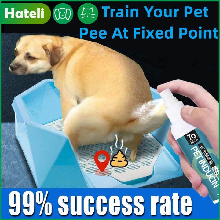 HATELI Pet Defecation inducer Dog Pee Inducer Guided Toilet Training