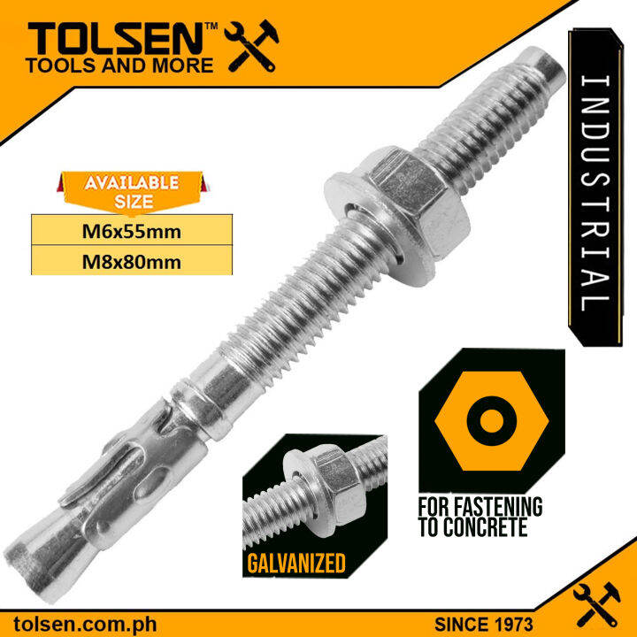 Tolsen 1BOX Galvanized Wedge Anchor (M6*55mm M8*80mm) Lazada PH