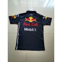 2020 New Mens F1 Racing T-shirt Red Bull Racing Verstappen Max Verstappen Quick Dry Short Sleeve Polo Shirt