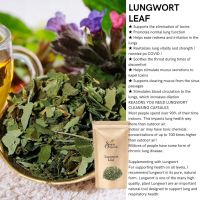 Lungwort leaf for Pulmonaria Organic the best quality from Europe 100% Natural