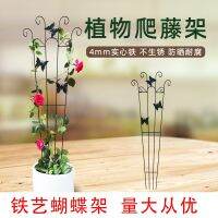 [COD] climbing vine frame clematis rose plant flower bracket supporting garden fence fixed iron shelf