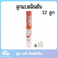 FBT ลูกแบดมินตัน ลูกแบตมินตัน ลูกแบด ลูกแบต ลูกขนไก่ ลูกแบตขนไก่ รุ่น 2200B 12 ลูก