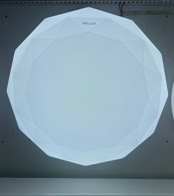 WELLUX โคมไฟเพดานกลม โคมติดเพดาน LED 32W เวลลักซ์ WELLUX LED CEILNG LAMP แสงขาว Daylight