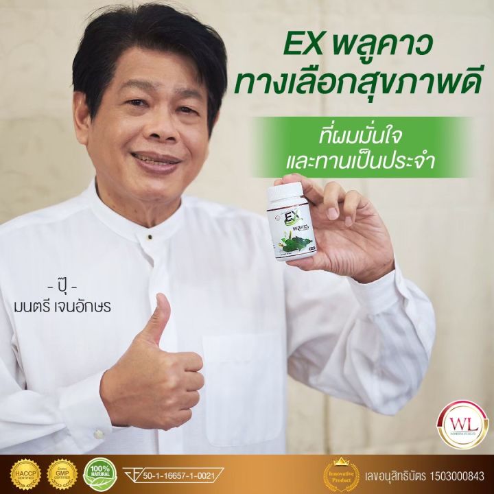 ex-พลูคาว-เสริมภูมิคุ้มกันให้ร่างกายด้วยสารสกัดจากสมุนไพรพลูคาวส่งฟรี