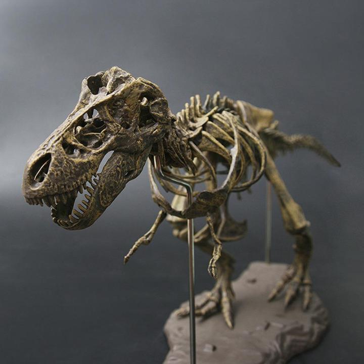 tyrannosaurus-model-โมเดล-t-rex-โมเดลทีเร็ก-ของตกแต่ง-แต่งบ้าน-แต่งร้าน-j9l9