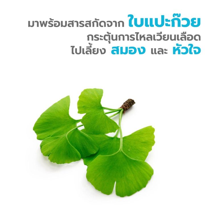 clover-plus-ginkgo-co-q10-30แคปซูล-แพ็ค-12-กระปุก