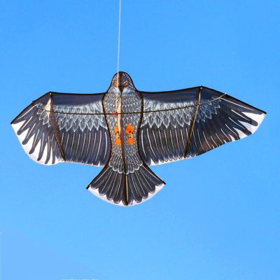 Free shipping 2m large eagle kite flying for adults wheel nylon kite line owl kite foil animal kites for sale bird toys squid