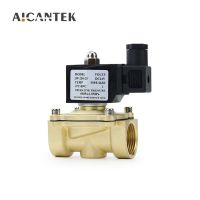 1/4" 3/8" 1/2" 3/4" 1" DN8/10/15/20/25/32 Electric Solenoid Valve Normally Closed IP65 for Water Oil Air 12V 24V 220V 110V Plumbing Valves