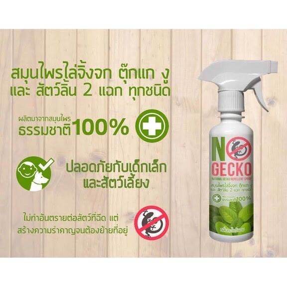 thebeastshop-200ml-nogecko-โนเก็กโค่-สเปรย์สมุนไพรไล่จิ้งจก-ไล่ตุ๊กแก-ไล่งู-ไล่หนู-กำจัดแมลง-กำจัดตุ๊กแก-ไล่ตุ๊กแก