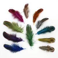 50Pcs 4-8ซม.มีค่าที่หายาก DIY ของตกแต่งงานเลี้ยงงานแต่งงาน Multi-สีขนอ่อนไก่ฟ้า Feather ขนนกธรรมชาติ