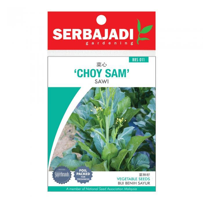 Serbajadi Choy Sam Chinese Flowering Cabbage Seeds Biji Benih Sawi