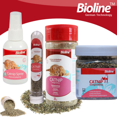 ยอดนิยม* Bioline กัญชาแมว catnip แคทนิปโรยอาหาร ของเล่นแมว แปรงขนแมว พร้อมส่ง