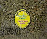 สารกาแฟดิบ Dryprocess แม่ตอนหลวง เทพเสด็จเชียงใหม่ บรรจุ500กรัม