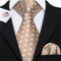 Men Tie Set New Brown Silk Tie For Men Wedding Party Necktie Handkerchief Dot Cravat NeckTie Set Barry.Wang Fashion Tie LS-5196