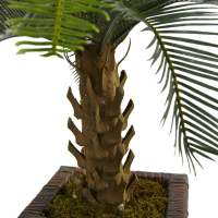 ต้นไม้ประดิษฐ์ Cycas ในชาวไร่ไม้