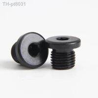 ❄►  Carbon Steel Pipe Fitting Countersunk Internal Hex Flange Plug Fitting Metric Size