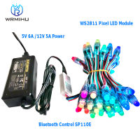 50pcs WS2811 Full Color LED Pixel Light Module RGB Color Digital LED Christmas Light SP110E LED Controller 5V 12V Power Supply