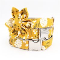 【CW】 girl dog collar flower and leash set for pet cat with rose gold buckle