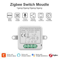 【YD】 10A Tuya WiFi Zigbee Module 2 Way