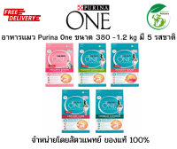 Purina ONE (เพียวริน่าวัน) อาหารแมวชนิดเม็ด ขนาด 380 กรัม - 1.2 กิโลกรัม