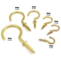 25pcs Golden Picture Frame Lamp Light Ceiling RV Tool Plant Curtain Net Wire Eye Bolt Eyebolt Screw in Spiral Hanger C Cup Hook