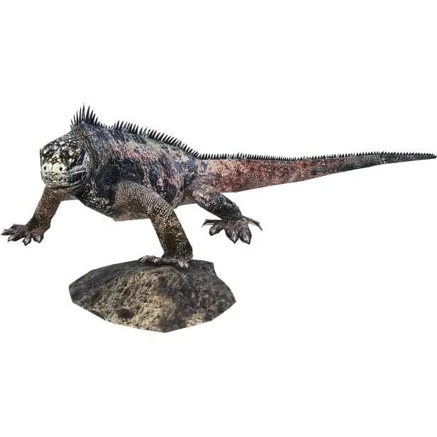 Marine Iguana papercraft Lazada Indonesia