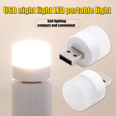 Small Light Usb Plug