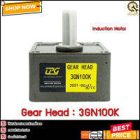 GEAR HEAD MOTOR CPG 3GN100K