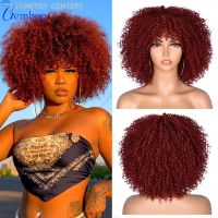 Short Hair Afro Kinky Curly Wig With Bangs Loose Synthetic Cosplay Fluffy Natural Wigs For Black Women Dark Brown 10 GEMBON [ Hot sell ] TOY CENTER