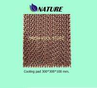 กระดาษรังผึ้ง ขนาด 300*300*100 มม.TYPE 0790, คูลลิ่งแพ็ด, Cooling pad,กระดาษระเหยความเย็น,ฟาร์มไก่,ฟาร์มหมู,โรงเรือน,พัดลมไอเย็น,อะไหล่พัดลมไอน้ำ,Nature,