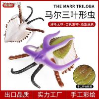 ? ของขวัญ Childrens simulation model of solid Cambrian Marine animals animal toys omar SanYeXingChong cognitive furnishing articles