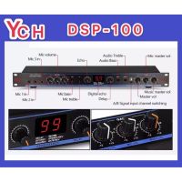 YCH DSP 100  Professional Power คาราโอเกะ-ออกแบบ Preamp 99 Digital Reverb Effects ปรับลำโพงไม่มีเสียงรบกวนสำหรับ Stage