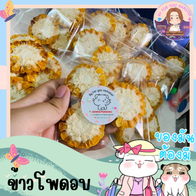 🌽ข้าวโพดอบแห้ง🌽สำหรับสัตว์เลี้ยงและสัตว์ฟันแทะทุกชนิด อบสดใหม่ หอมๆ ธรรมชาติ Organic 100%