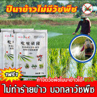 ?วัชพืช? ไม่ทำร้ายข้าว! ยาคุมหญ้าข้าว คุมฆ่าในนาข้าว เข้มข้นสุดๆ 10g กำจัดหญ้าในนาข้าว นาหว่าน หญ้าข้าวนก วัชพืชใบกว้าง หญ้าแห้วหมู ฆ่าหญ้า