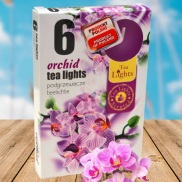 HCMHộp 6 Nến Thơm Tealight Admit ADM7708 Orchid Hoa địa lan
