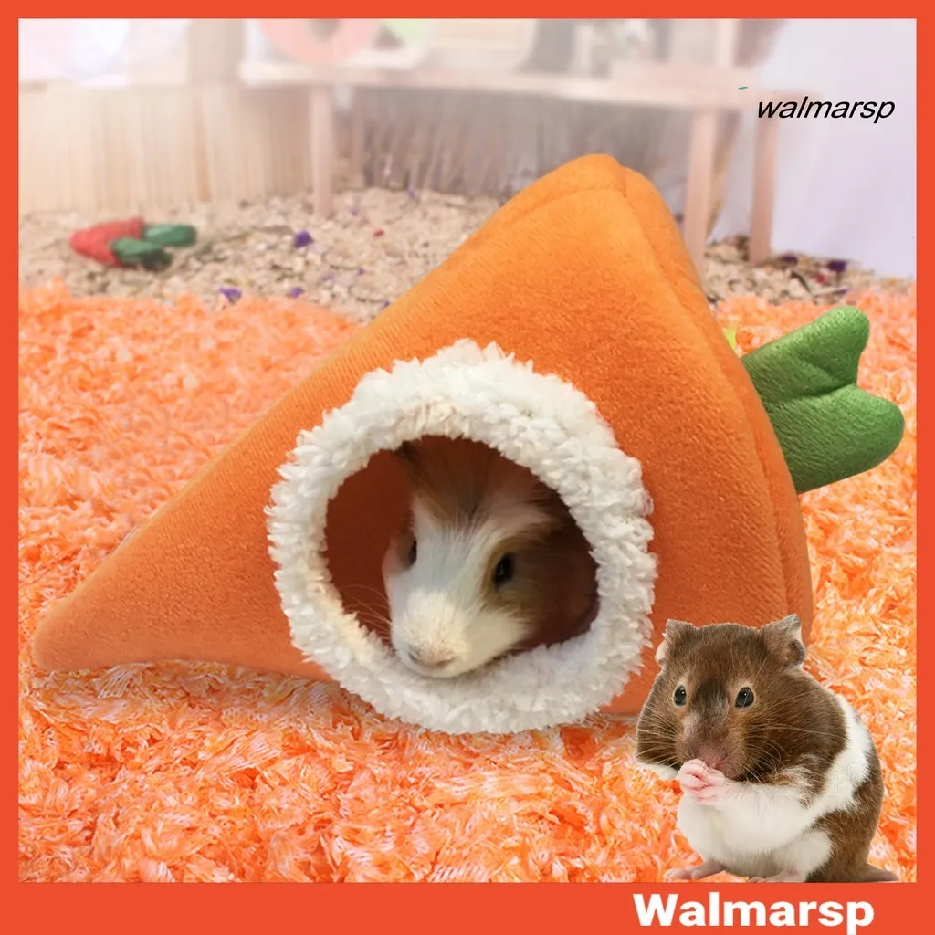 Bộ Sưu Tập Hình Chuột Hamster Full 4K Siêu Đẹp Với Hơn 999+ Hình