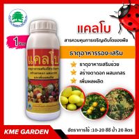 ?อาหารเสริม? แคลโบ ขนาด 1 ลิตร ธาตุอาหารเสริมที่ช่วยในการสร้างตาดอก ผสมเกสร และเพิ่มผลผลิต (แคลเซียม+โบรอน)