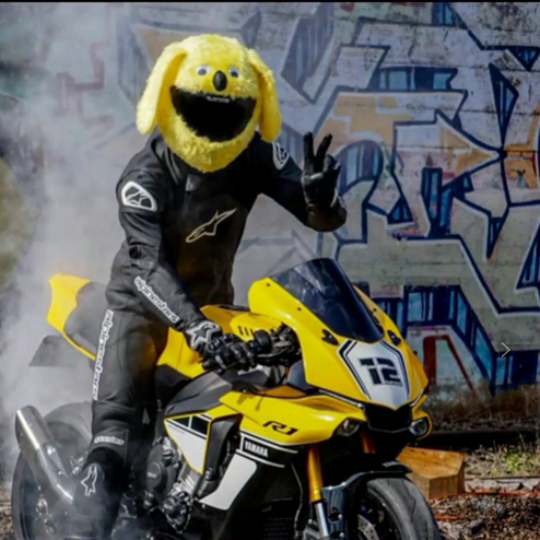 Anime Cat Motorcycle Helmet Futuristic Cat Stock Vector (Royalty Free)  2335534541 | Shutterstock