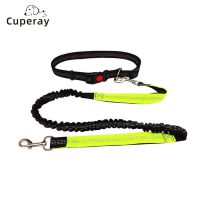 Pet Dog Leash with Reflective Strip and Adjustable Dog Waist BeltHands Free Pet Dog Running and Jogging Traction Rope Lead Belt