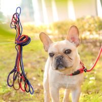 Nylon Pet Products Golden Teddy Dog Traction Rope Chain Large Dog Collar P Dog Leash Comfortable Nylon Material 5Colors